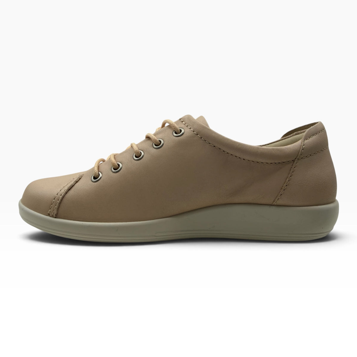 Soft 2.0 Sneaker