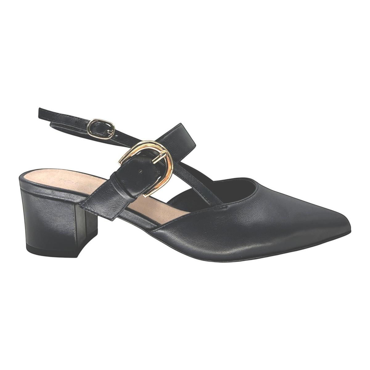 The Shoe Shop Asten black leather pointed-toe block heel with gold buckle detail and adjustable slingback strap