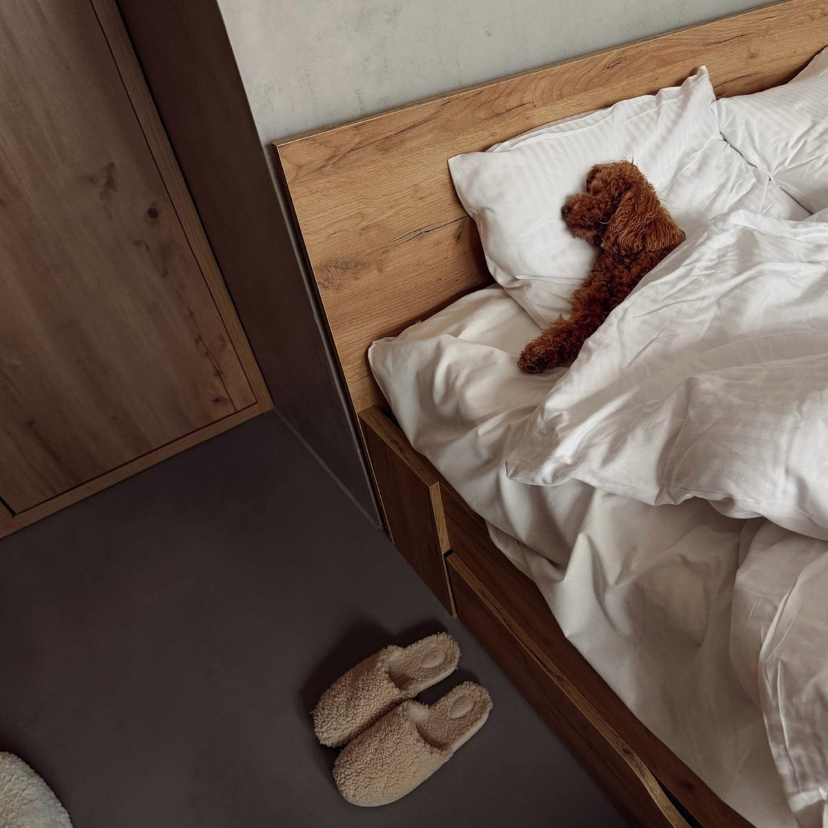 The Shoe Shop EMU Starley beige sheepskin teddy slippers on a bedroom floor next to a bed with a sleeping dog