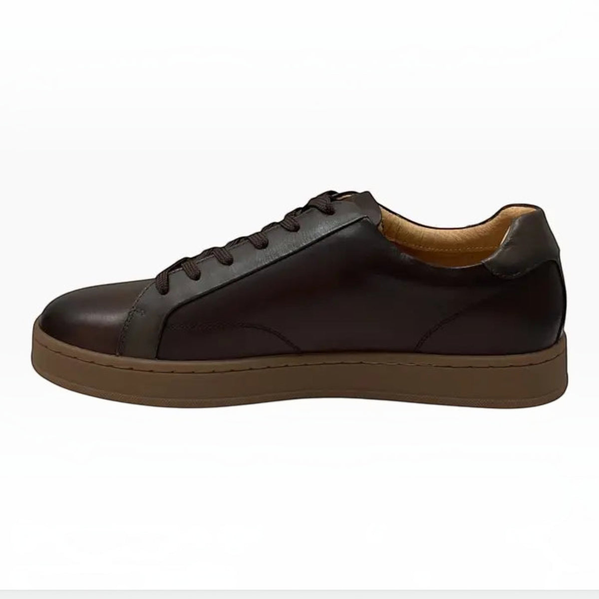 The Shoe Shop Monopoli dark brown smooth leather low-top sneaker with a cushioned collar and brown rubber sole.