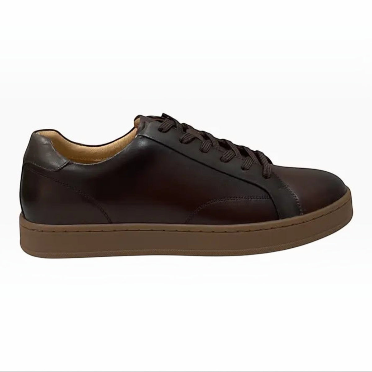 The Shoe Shop Monopoli low-top sneaker in dark brown smooth leather with a cushioned collar and brown rubber sole.