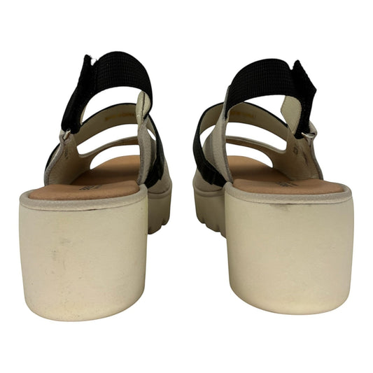 The Shoe Shop Pollen wedge sandals featuring a cream platform sole, black straps, and a secure velcro back closure.